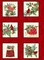 Christmas Blooms of the Holiday Nature Blocks 100% Cotton Fabric Price per Panel